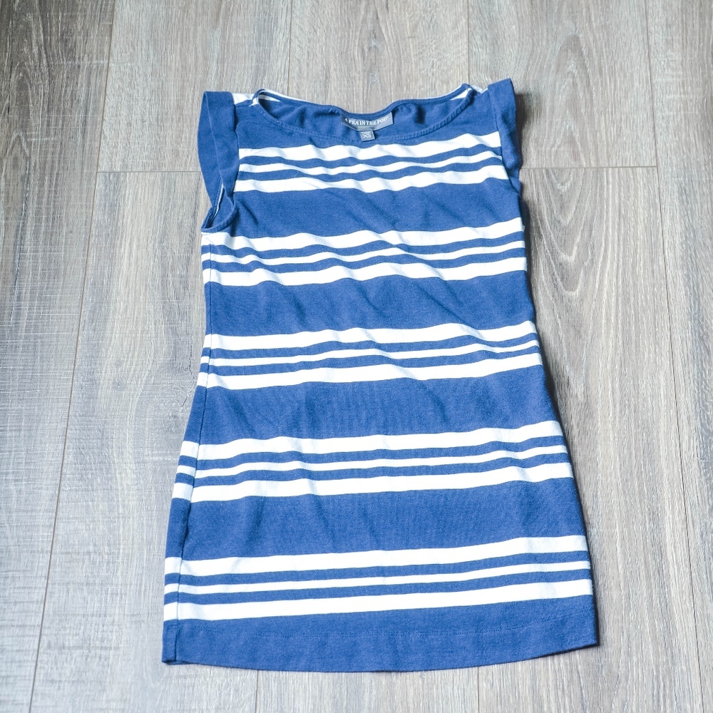 A Pea in a Pod Blue/White Striped Sleeveless Top